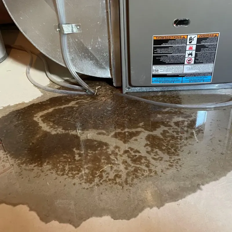 Pipe Burst and Leak Restoration in Grove City, PA