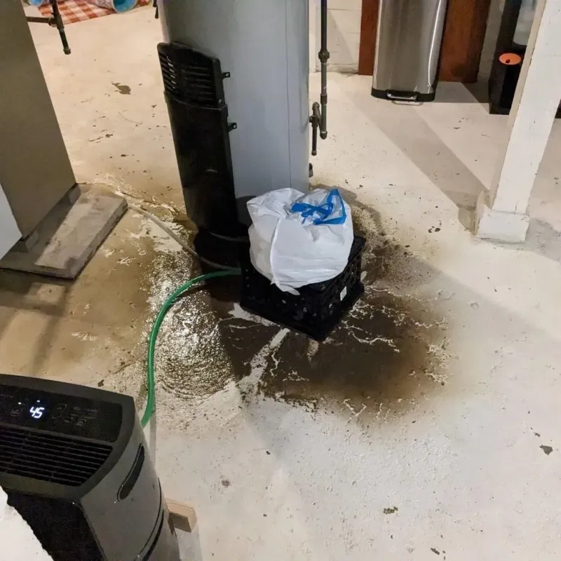 Sewage Backup Cleanup Service in Grove City, PA